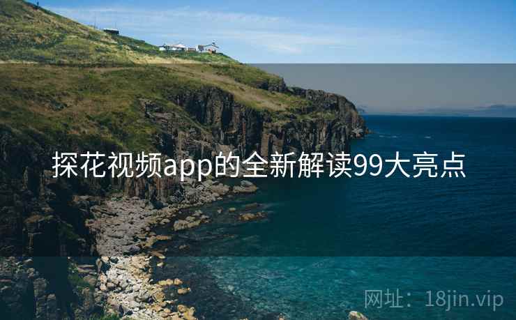 探花视频app的全新解读99大亮点