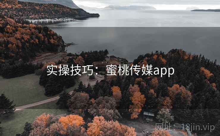 实操技巧：蜜桃传媒app