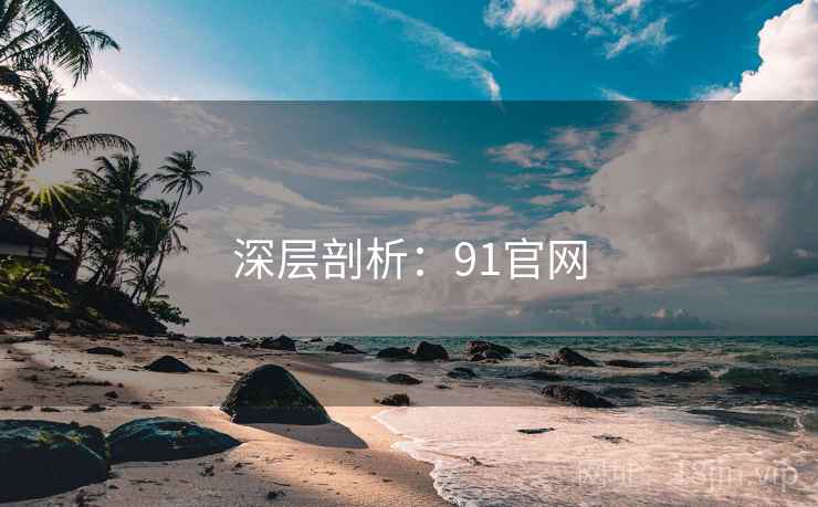 深层剖析：91官网