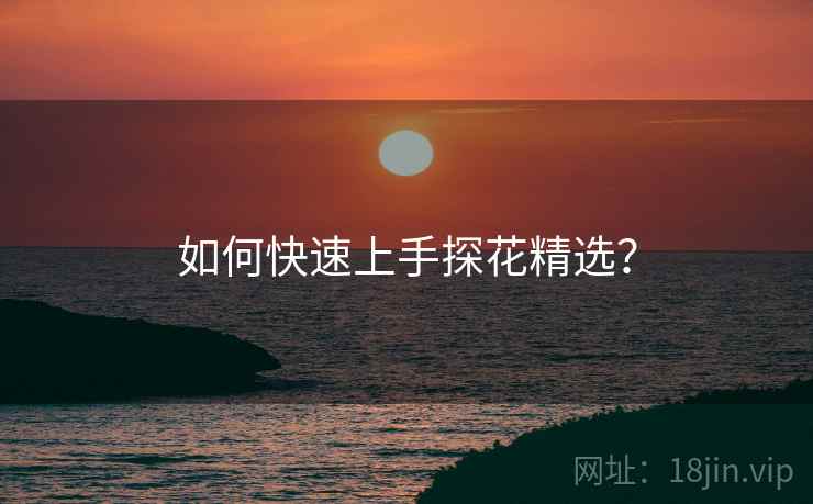 如何快速上手探花精选？
