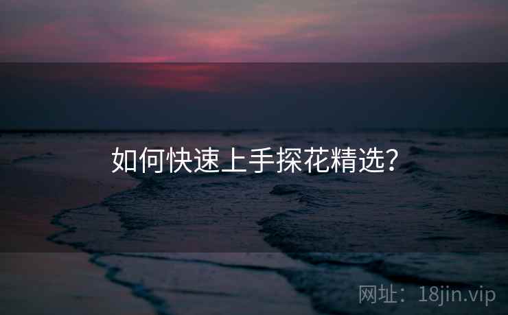 如何快速上手探花精选？