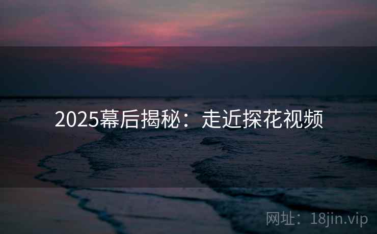 2025幕后揭秘：走近探花视频