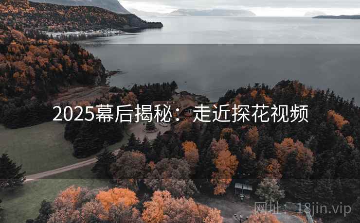 2025幕后揭秘：走近探花视频