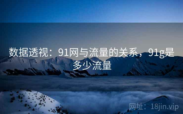 数据透视：91网与流量的关系，91g是多少流量