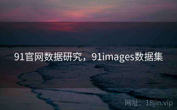 91官网数据研究，91images数据集