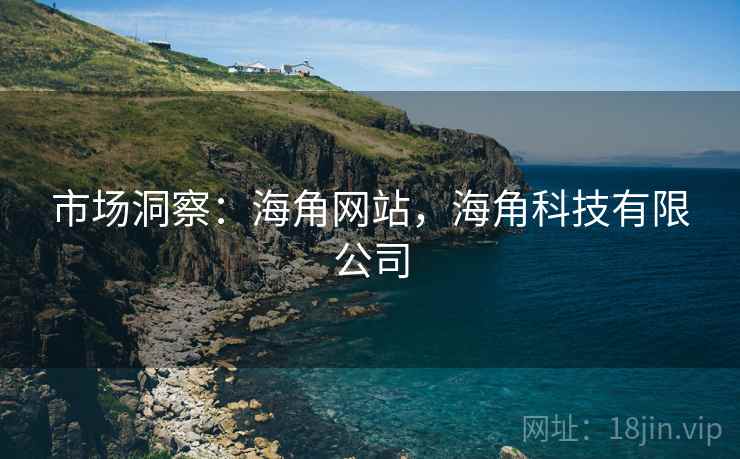 市场洞察：海角网站，海角科技有限公司