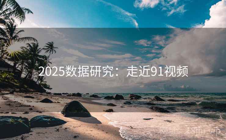 2025数据研究：走近91视频