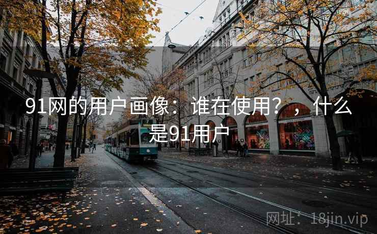 91网的用户画像：谁在使用？，什么是91用户