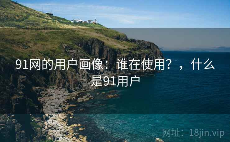 91网的用户画像：谁在使用？，什么是91用户