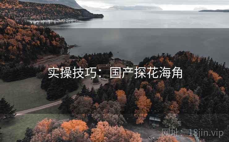 实操技巧：国产探花海角